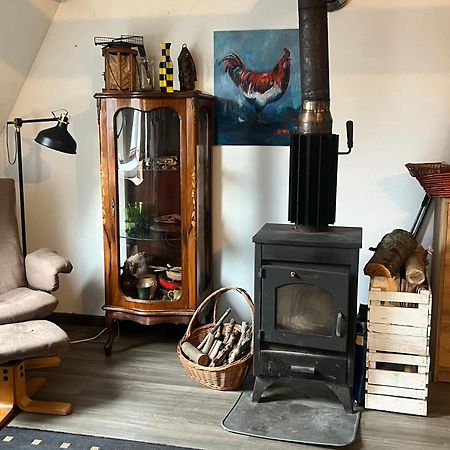Apartament-Samodzielne Mieszkanie-Agroturystyka-Puszcza Kampinoska Leoncin Екстериор снимка